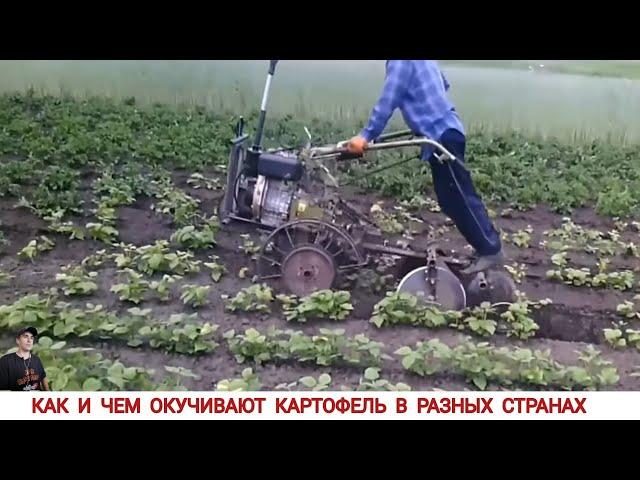 КАК И ЧЕМ ОКУЧИВАЮТ КАРТОФЕЛЬ В РАЗНЫХ СТРАНАХ МИРА #2/ POTATO HILLING IN DIFFERENT COUNTRIES
