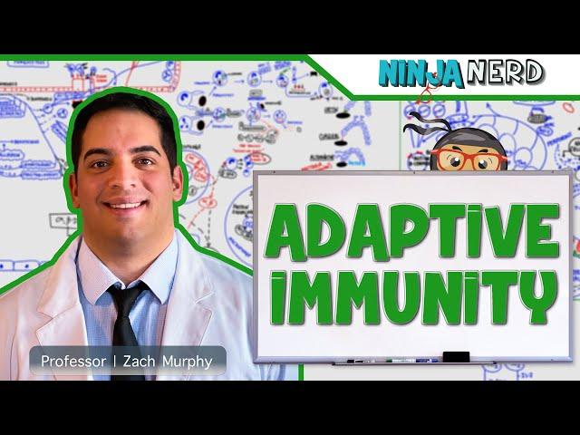 Immunology | Adaptive Immunity