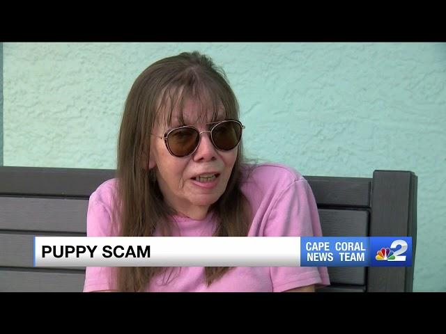 Cape Coral Family Paid Hundreds, Drove Cross Country For Puppy That Didn't Exist