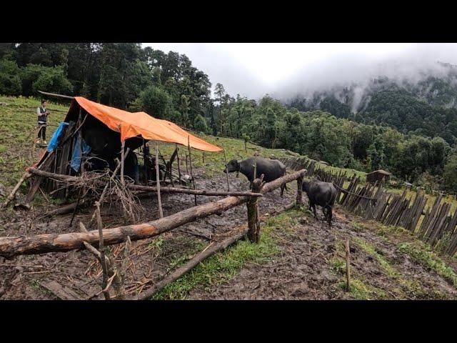 Nepali Mountain Village Lifestyle || Beautiful Nature in Rural life || Real Nepali Life ||