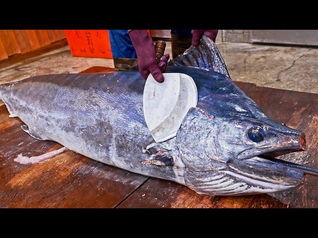 Amazing Seafood！Fish Cutting Skills, Various Seafood Catching / 驚人的台灣海鮮！ 魚的切割技能