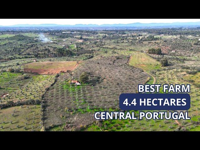 Best 4.4 Hectare Farm Deal in Central Portugal for 60 000€?