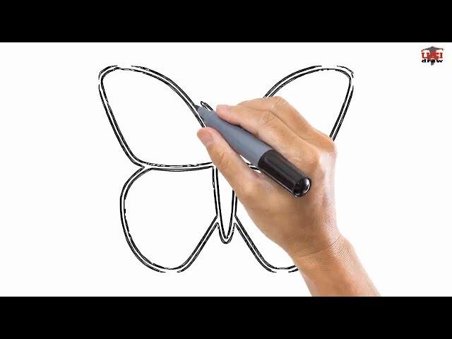 How to Draw a Butterfly: Drawing by UCIDraw