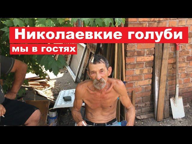 Заехали в гости к Жаркову Виктору Ивановичу посмотреть николаевских голубей.