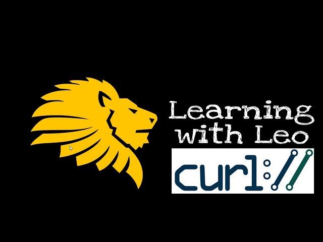 How to use Curl on Windows?||API testing&Data Transfer using curl