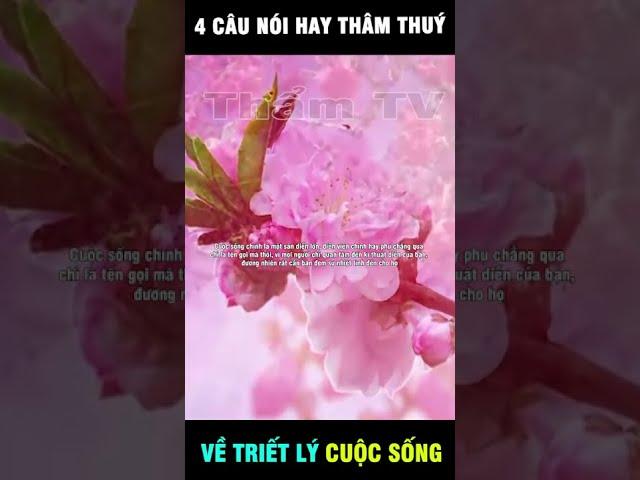 Nên Nghe 1 Lần ! 4 Câu Nói Làm Thay Đổi Suy Nghĩa Cuộc Đời !