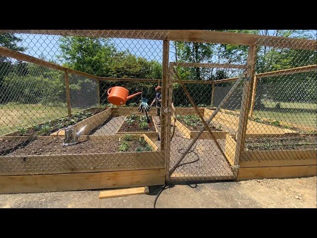 Our Dream garden with help from our homemade sawmill.