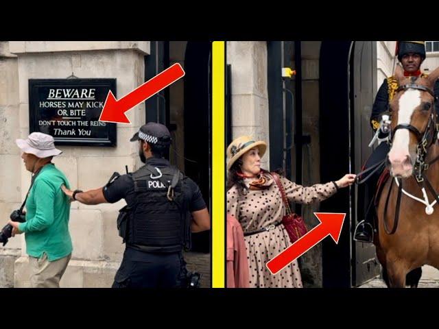 POLICE PUSH The IDIOT away, Then IGNORANT Woman Deliberately GRABBED The Horse REINS