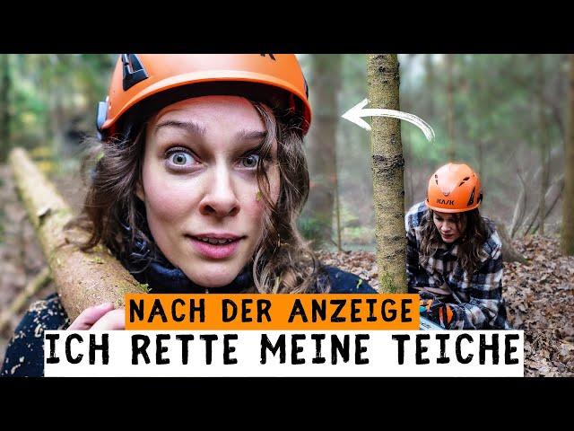 EIGENEN Wald retten: Wie ich durch Baumfällen meine Teiche schütze! Waldumbau & Baumklettern