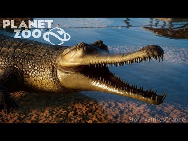 My Terrible Franchise Zoo Tour in Planet Zoo Beta