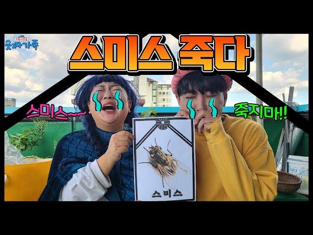 스미스 죽다!!!!ㄷㄷㄷ (ft. 반려동물이 죽었을때)[웃짜시트콤]