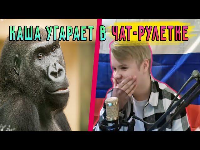 КАША УГАРАЕТ В ЧАТ РУЛЕТКЕ | Нарезка со стрима kussia