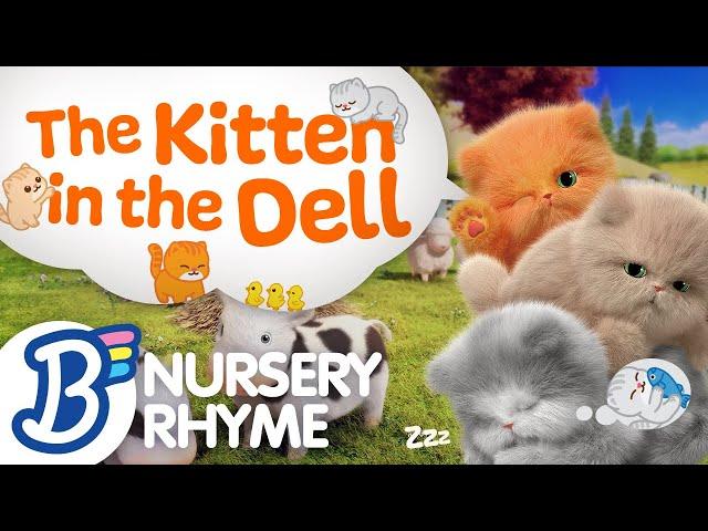  (NEW!) The Kitten in the Dell | Badanamu Nursery Rhymes, ABC Songs, Kids Songs, and Lullabies