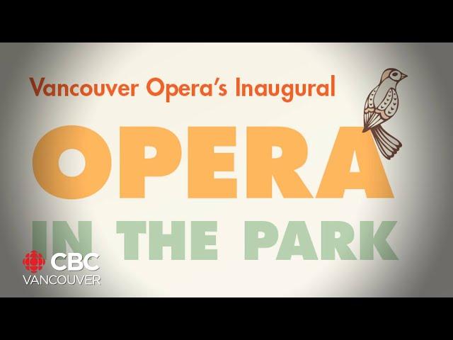 Pop-culture opera in the park