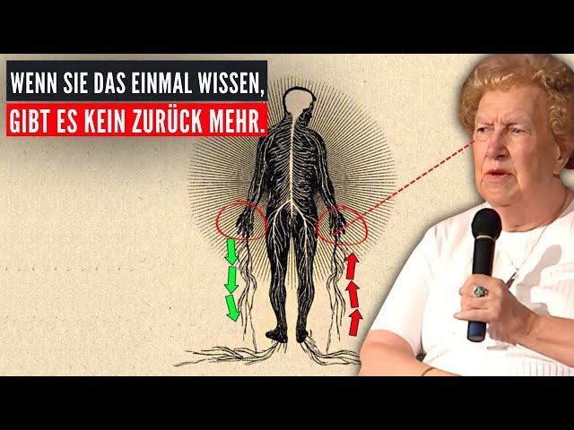 Bevor es gelöscht wird: Schauen Sie sich dieses Video an, das Sie eigentlich nicht kennen sollen!