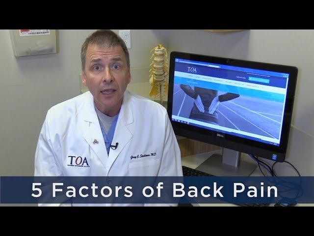 Dr. Gray Stahlman on the 5 Factors of Back Pain - Tennessee Orthopaedic Alliance