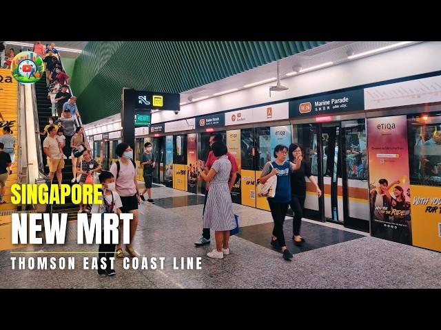Thomson East Coast Line Stage 4: Exploring Every Station on Singapore's New MRT Line | TEL Stage 4