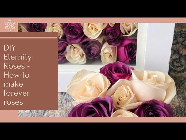 DIY Eternity Roses - How To Make Forever Roses