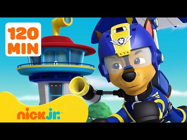 PAW Patrol | PAW Patrol Chases beste Momente! | Nick Jr. Deutschland