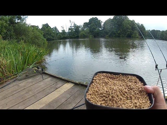 Feeder Fishing Tips - Bait, Rigs, Tactics - Catch More Fish!