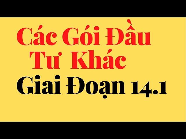 Các gói đầu tư của SkyWay giai đoạn 14.1