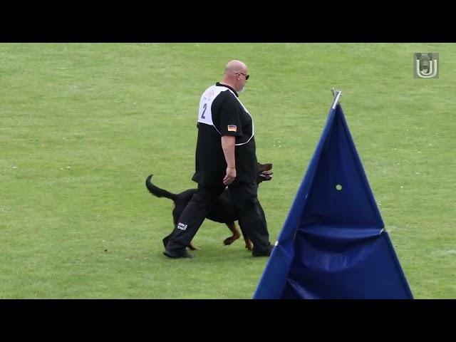 Rainer Dersch mit der Rottweiler Hündin Ipet von den Wichtelhäusern im Schutzdienst für den ADRK