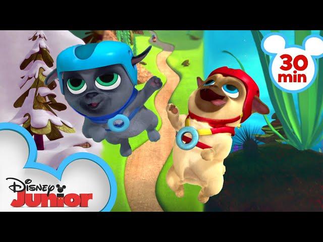 Bingo & Rolly Travel Around the Globe!  | 30 Minute Compilation | Puppy Dog Pals | Disney Junior