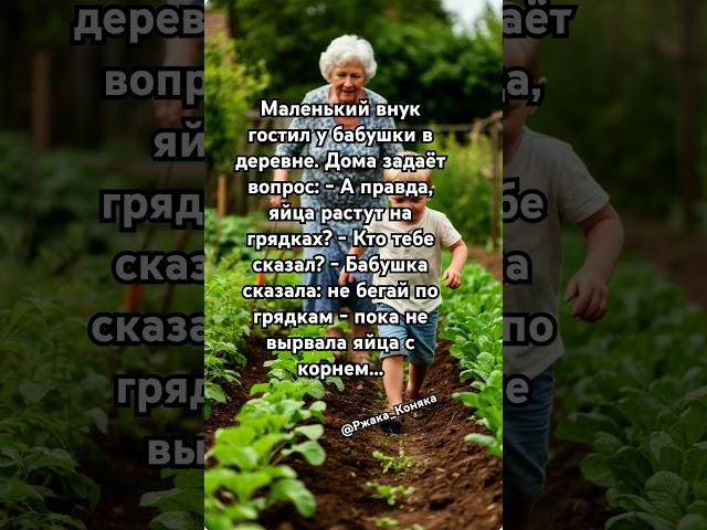 Анекдот - Яйца растут на грядках?