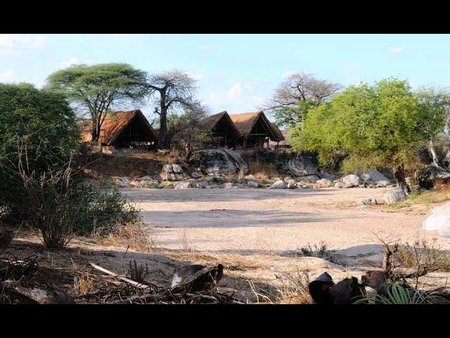 Mwagusi Safari Camp, Ruaha Tanzania Safari