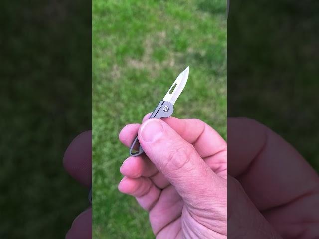 Mighty Mite - Key Unity KK05 - What's Haggis Carrying Today #edc #titaniumcarry