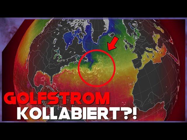 KOLLABIERT der Golfstrom?! Neue Forschungsergebnisse sind erschreckend...