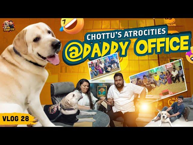 Blacksheep Office'ஐ அலறவிட்ட Chottu | Chottu's Atrocities @ Daddy Office  | Vlog 28 | Mr Chottu