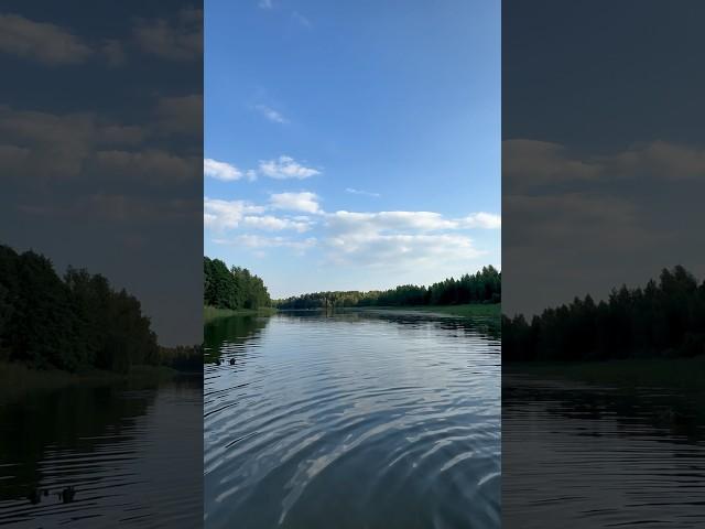 Наше лето  #подмосковье #лето #лето2024