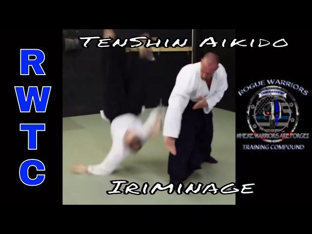 Aikido - Steven Seagal’s iriminage