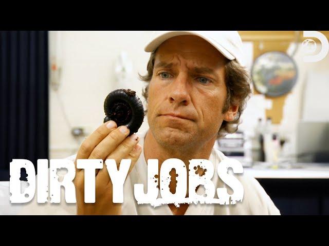 The Dirtiest Bug Jobs | Dirty Jobs | Discovery