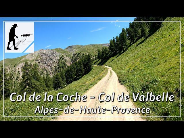 Col de la Coche - Col de Valbelle, Alpes-de-Haute-Provence, France - by motorcycle and drone