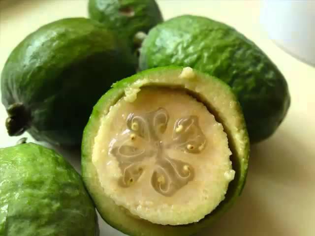 Feijoa & its health Benefits