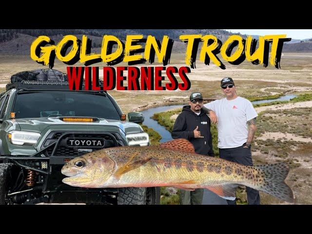 Golden Trout Wilderness - Dry Fly Fishing the South Fork Kern River