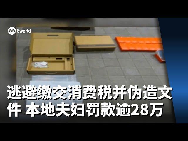 逃避缴交消费税并伪造文件 本地夫妇罚款逾28万