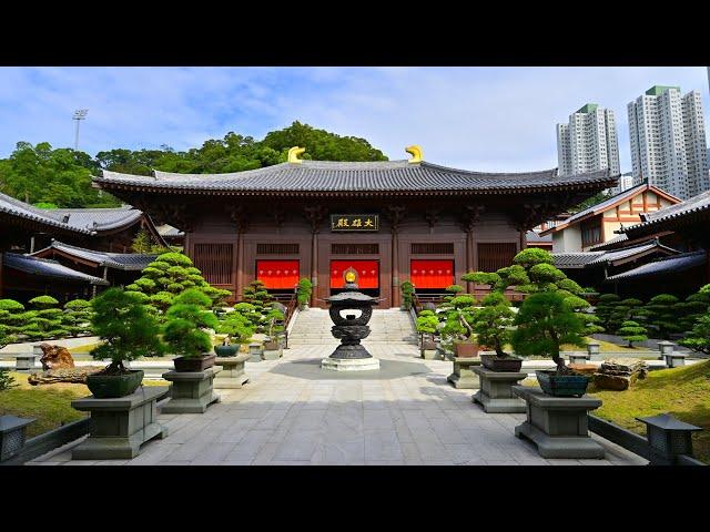 Nan Lian Garden & Chi Lin Nunnery, Hong Kong, China