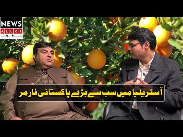 The largest crop producer Pakistani in Australia|Agriculture| Newsalert | Interview | 2020