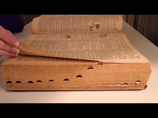 ⏰  3+ hours of ASMR book page turning with rain sounds for sleep, or study!