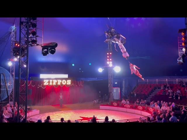 Zippos Circus. Bon Voyage 2022