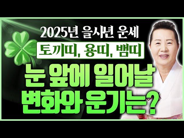 2025년 을사년 토끼띠 용띠 뱀띠 운세 대운의 문이 활짝 열렸다! 남몰래 흘렸던 눈물 보상받는 대박이 기다린다! 띠별운세 총정리 2탄