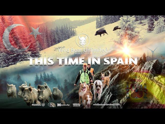 Discover the Wild Boar Unlimited in Spain - II Edition