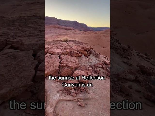 Secret Campsite at Reflection Canyon