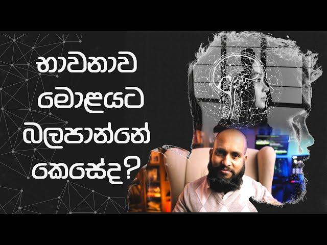 භාවනා කරද්දි මොළයට වෙන්නෙ මොකද්ද?