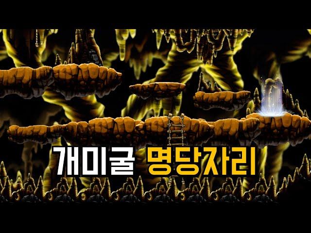 개미굴 가기 전 알아야 할 것들 (파티, 자리 위치) [메이플랜드]