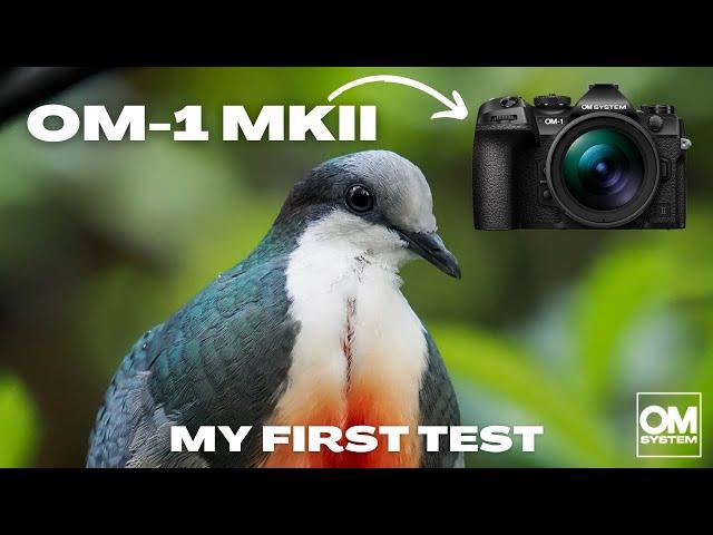 OM System OM-1 Mkii First Impression and Test Results.