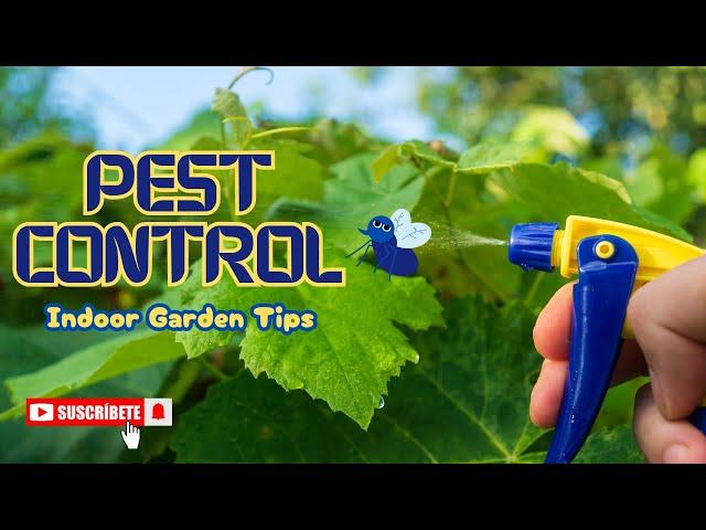 Guide to Organic Pest Management! #pestcontrol #gardening #garden